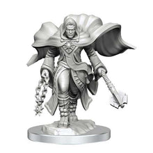 Load image into Gallery viewer, WZK90408-Aasimar-cleric-dnd