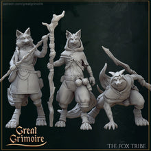 Load image into Gallery viewer, The Fox Tribe (3 set)