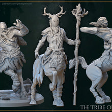 Load image into Gallery viewer, The Tribe Of  Centaurs (4 set)
