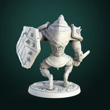 Load image into Gallery viewer, 3D printing commissions-fantasy resin miniatures