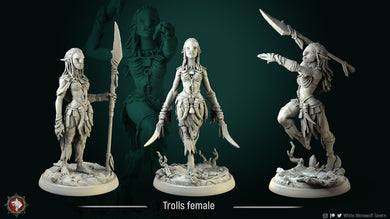 3D printed Resin Miniatures-female-troll