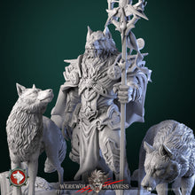 Load image into Gallery viewer, White-Wolf-Diorama