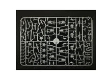 Load image into Gallery viewer, Quar Creevish Infantry