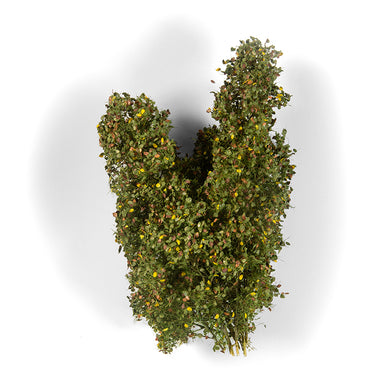AK Diorama: Early Fall Filigree Bushes 1:35