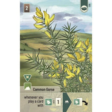 Load image into Gallery viewer, Forest Shuffle - Dartmoor: Exmoor Expansion
