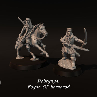 Dobrynya-Boyar-Of-Torgorod