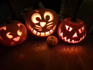 Halloween Pumpkin Painting Sunday 27th October