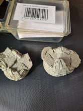 Load image into Gallery viewer, Elven Bases 40mm-reduced item