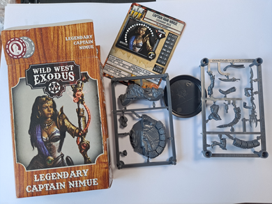 Legendary Captain Nimue