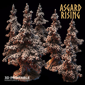 Conifers Spruce Modular Forest