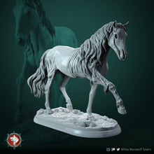 Load image into Gallery viewer, Ghost Horse