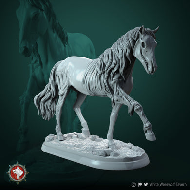 Ghost Horse