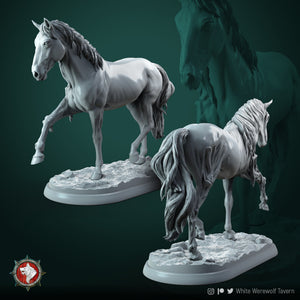 Ghost Horse