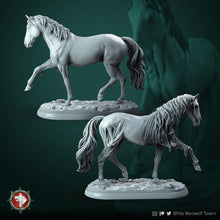 Load image into Gallery viewer, Ghost Horse