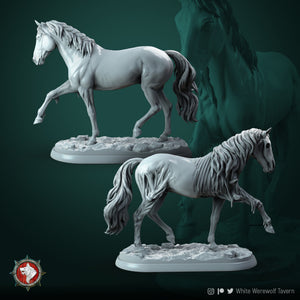 Ghost Horse