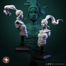 Load image into Gallery viewer, Air-Master-Bust