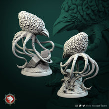 Load image into Gallery viewer, Big-Brain-Octopus