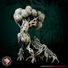 Load image into Gallery viewer, Living Tree