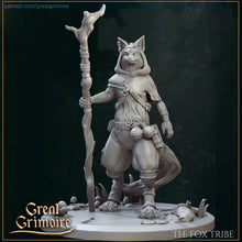 Load image into Gallery viewer, The Fox Tribe (3 set)
