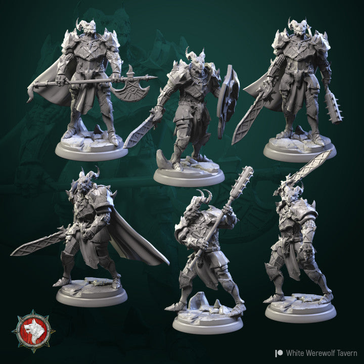 Dragonborn-knights-set-of-6