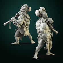 Load image into Gallery viewer, High quality resin miniatures-3D Printed-ready next day