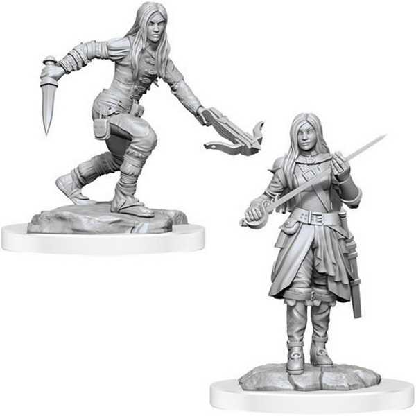 D&D Nolzur's Marvelous Unpainted Miniatures: Half-Elf Rogue Female