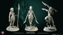 Load image into Gallery viewer, 3D printed Resin Miniatures-female-troll