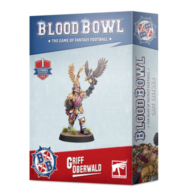 bristolindependentgaming.co.uk__bloodbowl