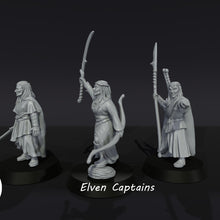 Load image into Gallery viewer, 3D Printed-Elven-Captains