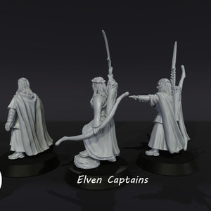 3D Printed-Elven-Captains
