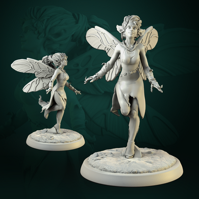 Fairies and Forest Folk