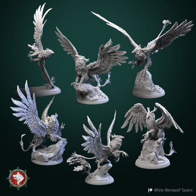 Griffons-Set-Of-6