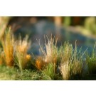 Reed/Field Grass Green