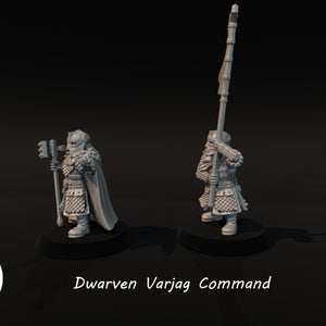 Dwarven-Varjag-Commanders